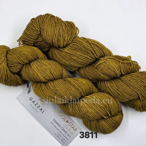 Gazzal Wool Star 3811