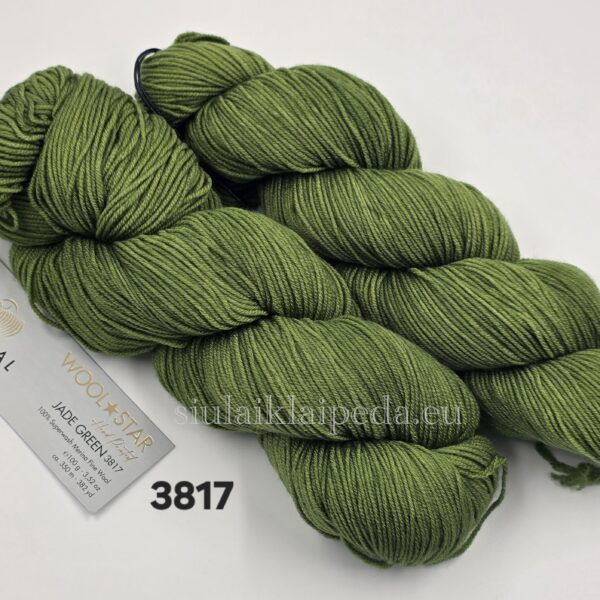 Gazzal Wool Star 3817