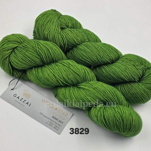 Gazzal Wool Star 3829